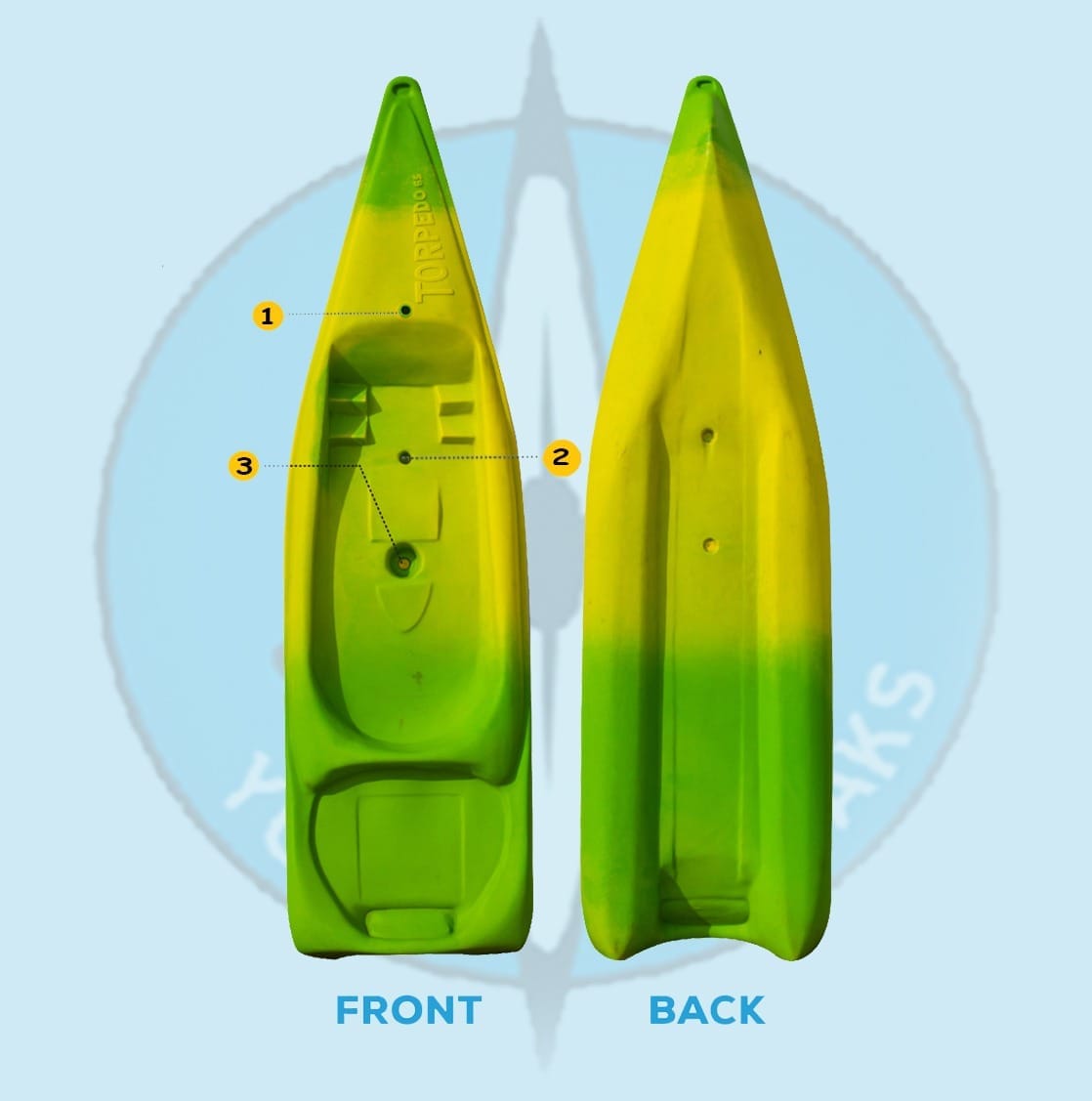 TORPEDO overview